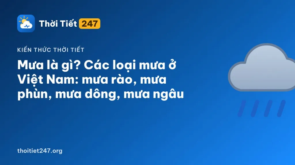 Mưa là gì? Các loại mưa ở Việt Nam: mưa rào, mưa phùn, mưa dông, mưa ngâu