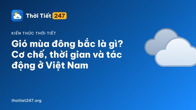 Gió mùa đông bắc là gì? Cơ chế, thời gian và tác động ở Việt Nam
