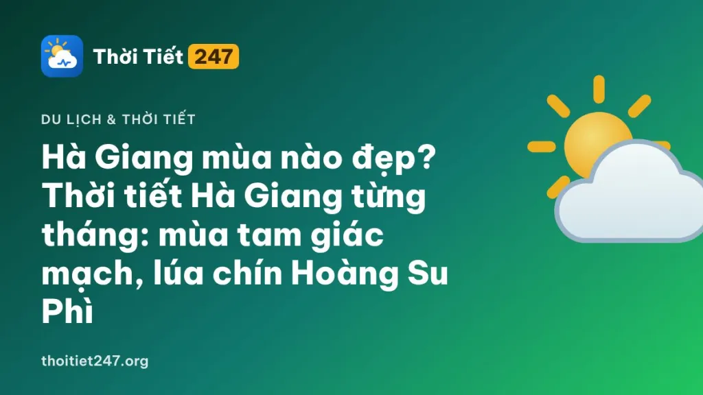 Hà Giang mùa nào đẹp? Thời tiết Hà Giang từng tháng: mùa tam giác mạch, lúa chín Hoàng Su Phì