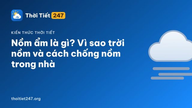 Nồm ẩm là gì? Vì sao trời nồm và cách chống nồm trong nhà