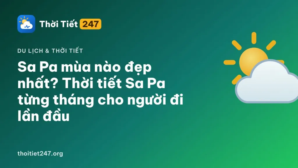 Sa Pa mùa nào đẹp nhất? Thời tiết Sa Pa từng tháng cho người đi lần đầu