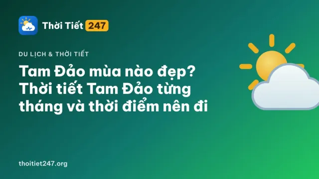 Tam Đảo mùa nào đẹp? Thời tiết Tam Đảo từng tháng và thời điểm nên đi